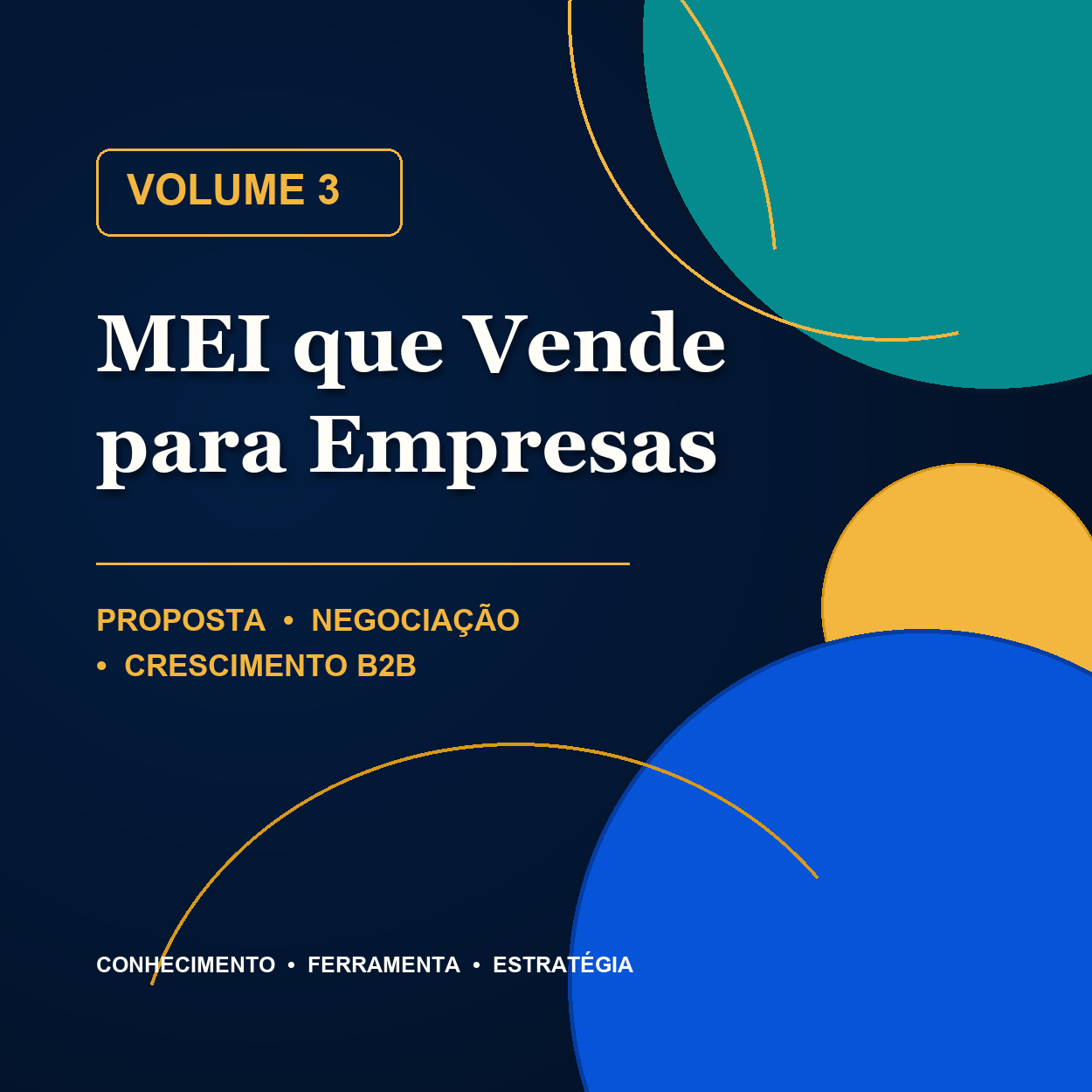 Capa do Volume 3 MEI que Vende para Empresas